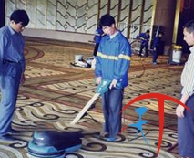 上海清洗地毯服务项目